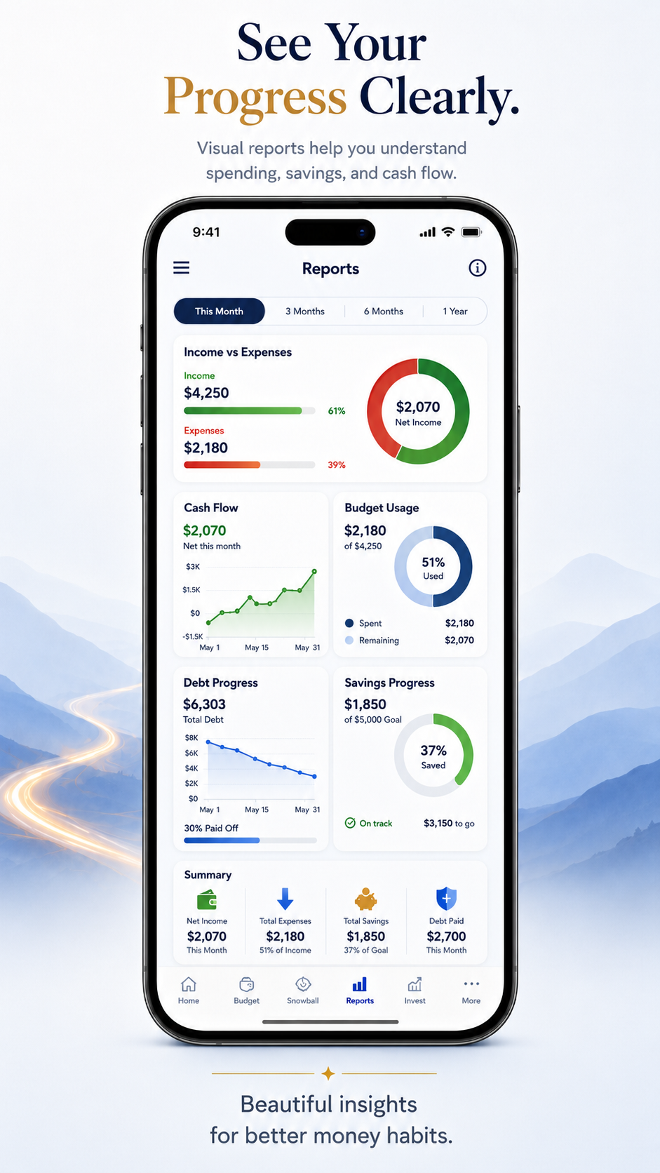 Visual financial reports and progress
